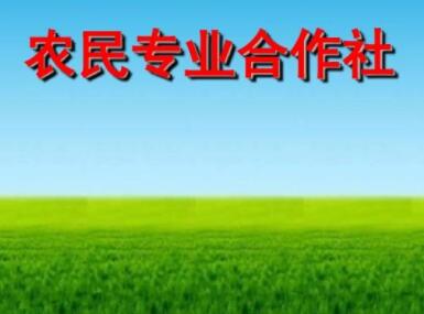 合作社取名字大全 种植农业合作社取名