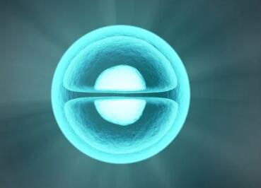 生物科技有限公司起名参考(精选500个)