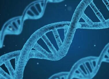 生物科技有限公司起名参考(精选500个)