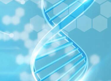 生物科技有限公司起名参考(精选500个)